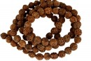 Margele rudraksha, naturale, rotund, 6.5-7.5mm - 1sirag