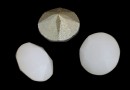 Swarovski, chaton PP24, white alabaster, 3mm - x20
