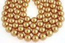 Perle Swarovski, bright gold pearl, 12mm - x10