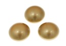 Swarovski, cabochon perla cristal, vintage gold, 8mm - x2