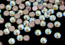 Swarovski, hotfix, ss10, crystal shimmer, 2.7mm - x20