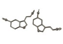 Link, happiness formula, black rhodium-plated 925 silver, 32.5mm - x1