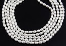 Swarovski pearl, white, 4x3mm - x100