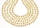 Perle de cultura - 5.5x5mm, alb
