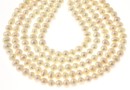 Perle de cultura - 6x5mm, alb