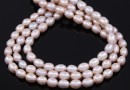 Freshwater Pearls - 7.5x6mm, ivory