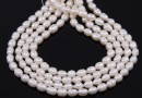 Freshwater Pearls - 6.5x5mm, white