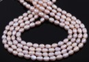 Freshwater Pearls - 7.5x6mm, sandy purple 