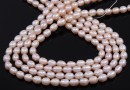 Freshwater Pearls - 7.5x6mm, light peach 