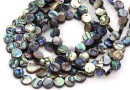 Margele sidef natural Abalone, scoica paua, disc, 8mm