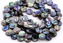 Abalone natural pearl beads, paua shell, disk, 12mm