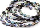 Margele sidef natural Abalone, scoica paua, picatura, 12x8.5mm