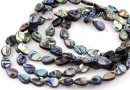 Abalone natural pearl beads, paua shell, drop, 12x8.5mm