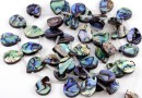 Abalone natural pearl beads, paua shell, drop, 18x13.5mm