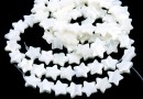 White natural pearl beads, star, 10x10mm