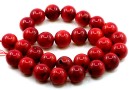 Coral beads, intense red, round, 14mm