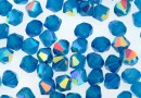 Swarovski, bicone bead, caribbean blue AB, 6mm - x10